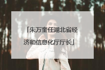 朱万奎任湖北省经济和信息化厅厅长