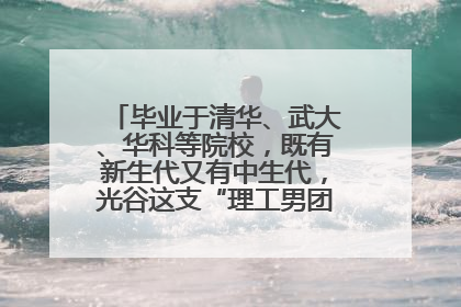 毕业于清华、武大、华科等院校，既有新生代又有中生代，光谷这支“理工男团”为何“出道”？
