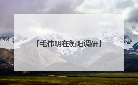 毛伟明在衡阳调研
