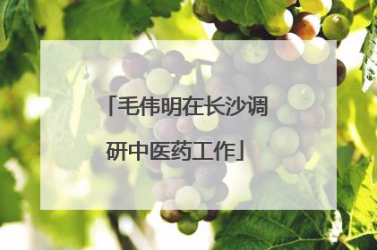 毛伟明在长沙调研中医药工作