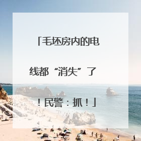 毛坯房内的电线都“消失”了！民警：抓！