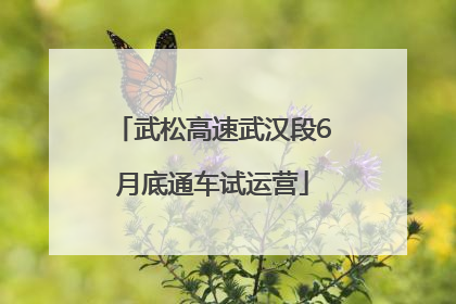 武松高速武汉段6月底通车试运营