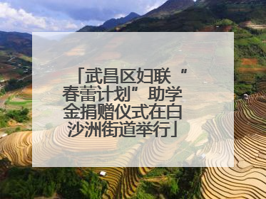 武昌区妇联“春蕾计划”助学金捐赠仪式在白沙洲街道举行