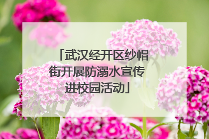 武汉经开区纱帽街开展防溺水宣传进校园活动