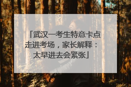 武汉一考生特意卡点走进考场，家长解释：太早进去会紧张