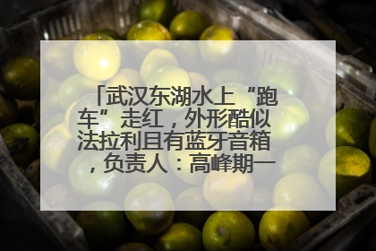 武汉东湖水上“跑车”走红，外形酷似法拉利且有蓝牙音箱，负责人：高峰期一两百人排队