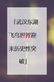 武汉东湖飞鸟世界迎来历史性突破