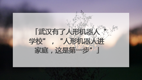 武汉有了人形机器人“学校”，“人形机器人进家庭，这是第一步”