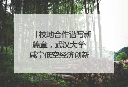 校地合作谱写新篇章，武汉大学·咸宁低空经济创新研究院签约成立