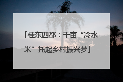 桂东四都：千亩“冷水米”托起乡村振兴梦
