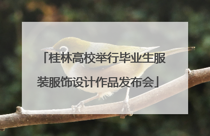 桂林高校举行毕业生服装服饰设计作品发布会