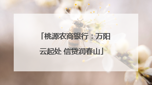 桃源农商银行：万阳云起处 信贷润春山