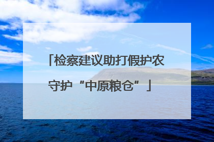 检察建议助打假护农守护“中原粮仓”