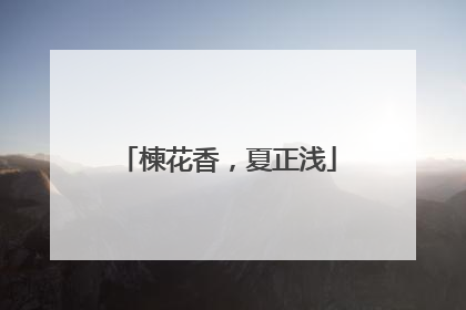 楝花香，夏正浅