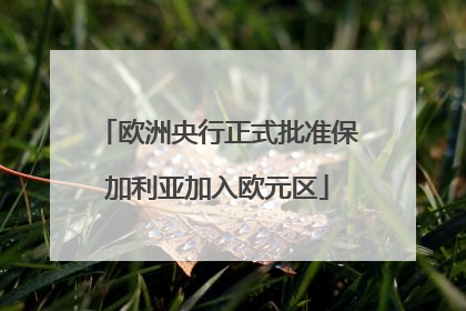 欧洲央行正式批准保加利亚加入欧元区