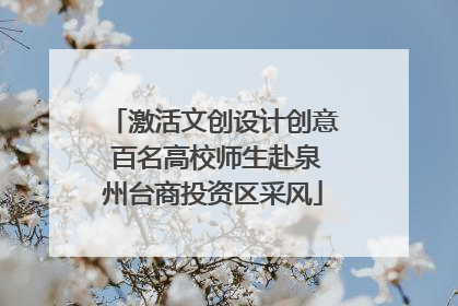 激活文创设计创意 百名高校师生赴泉州台商投资区采风