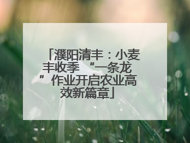 濮阳清丰：小麦丰收季 “一条龙”作业开启农业高效新篇章
