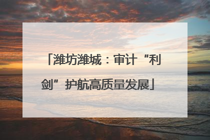 潍坊潍城：审计“利剑”护航高质量发展