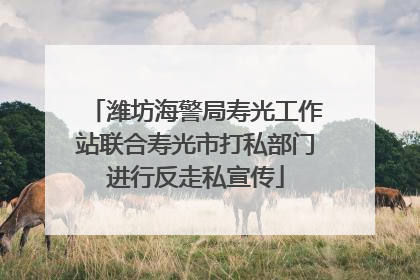潍坊海警局寿光工作站联合寿光市打私部门进行反走私宣传