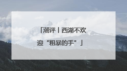 潮评丨西湖不欢迎“粗暴的手”