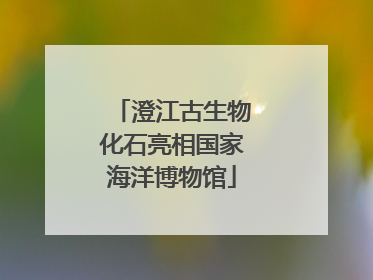 澄江古生物化石亮相国家海洋博物馆