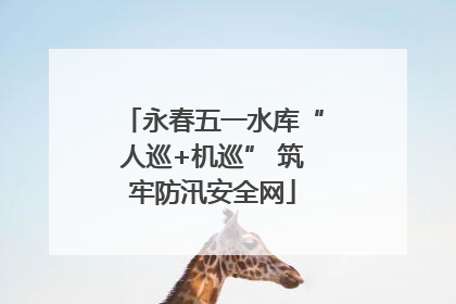 永春五一水库“人巡+机巡” 筑牢防汛安全网