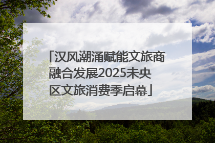 汉风潮涌赋能文旅商融合发展2025未央区文旅消费季启幕