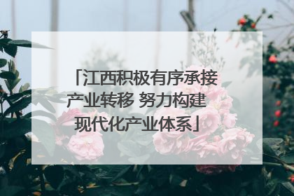 江西积极有序承接产业转移 努力构建现代化产业体系