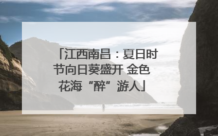 江西南昌：夏日时节向日葵盛开 金色花海“醉”游人