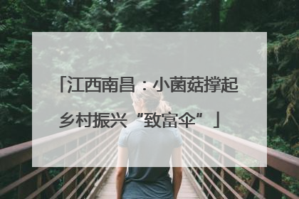 江西南昌：小菌菇撑起乡村振兴“致富伞”