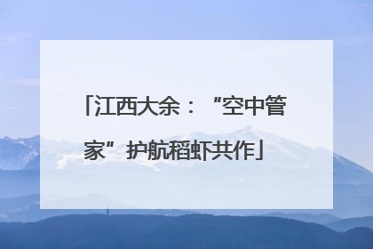 江西大余：“空中管家”护航稻虾共作