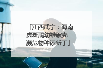 江西武宁：海南虎斑鳽幼雏破壳 濒危物种添新丁