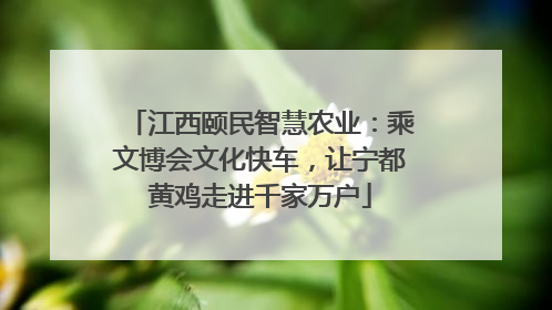 江西颐民智慧农业：乘文博会文化快车，让宁都黄鸡走进千家万户