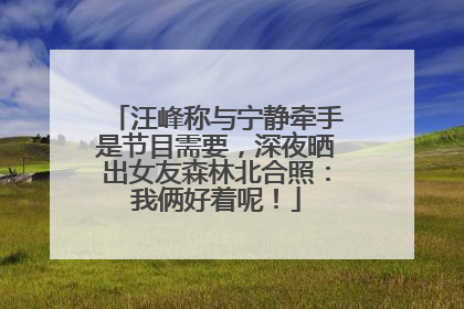 汪峰称与宁静牵手是节目需要，深夜晒出女友森林北合照：我俩好着呢！