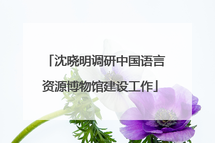 沈晓明调研中国语言资源博物馆建设工作