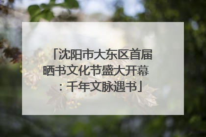 沈阳市大东区首届晒书文化节盛大开幕：千年文脉遇书
