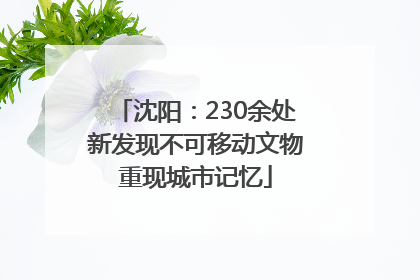 沈阳：230余处新发现不可移动文物重现城市记忆
