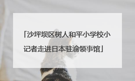 沙坪坝区树人和平小学校小记者走进日本驻渝领事馆