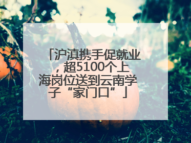 沪滇携手促就业，超5100个上海岗位送到云南学子“家门口”