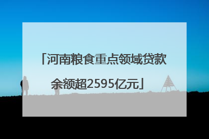 河南粮食重点领域贷款余额超2595亿元