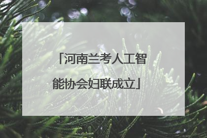 河南兰考人工智能协会妇联成立