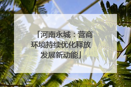 河南永城：营商环境持续优化释放发展新动能