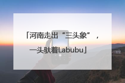 河南走出“三头象”，一头驮着Labubu