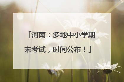 河南：多地中小学期末考试，时间公布！