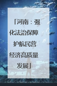 河南：强化法治保障 护航民营经济高质量发展