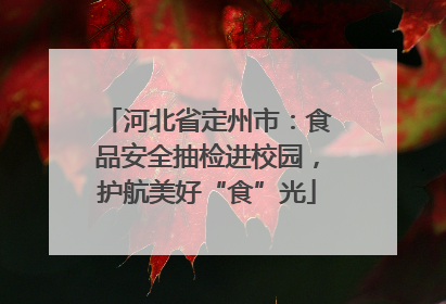 河北省定州市：食品安全抽检进校园，护航美好“食”光