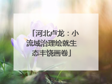 河北卢龙：小流域治理绘就生态丰饶画卷