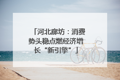 河北廊坊：消费势头稳点燃经济增长“新引擎”