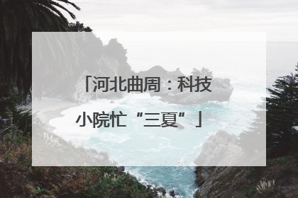 河北曲周：科技小院忙“三夏”