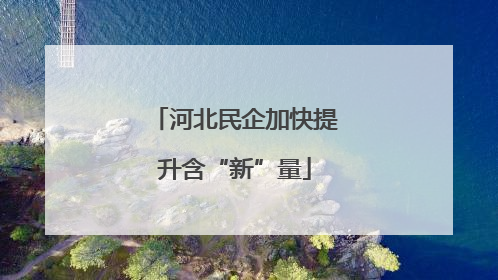 河北民企加快提升含“新”量